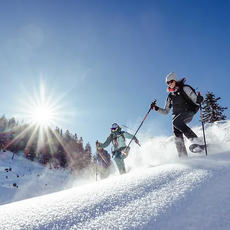 Apart Otel Alpine Collection Wildschoenau