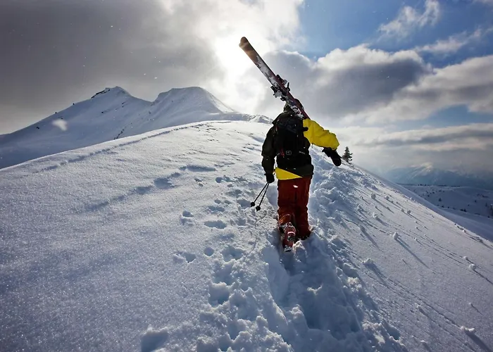 شقة فندقية Alpine Collection Wildschoenau 4*