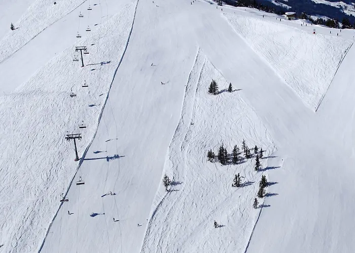 Alpine Collection Wildschoenau شقة فندقية 4*