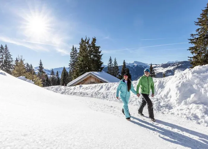 Alpine Collection Wildschoenau 4*