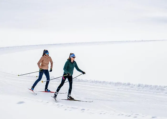 Alpine Collection Wildschoenau 4*