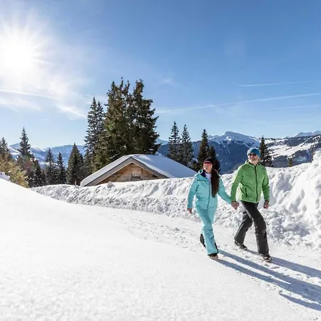 Alpine Collection Wildschoenau 4*